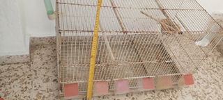 Jaula para pájaros