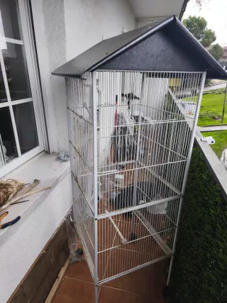 Jaula grande para pájaros