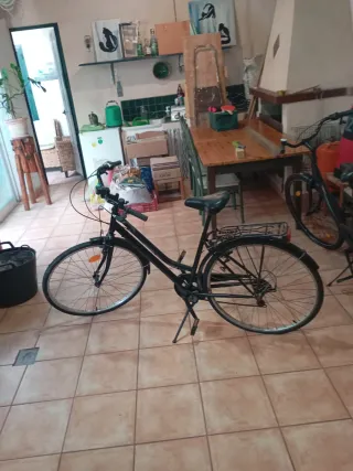 2 Bicicletas de Paseo