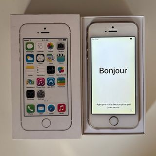 Lote Apple: iPod Classic, iPad Mini y 5 iPhones