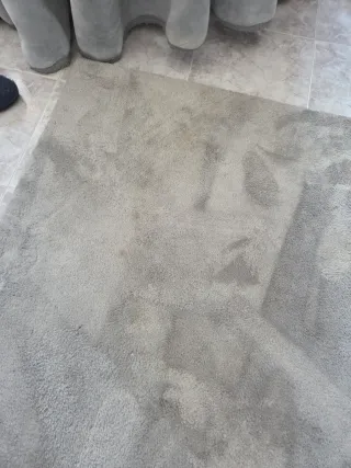 Alfombra gris 170x230