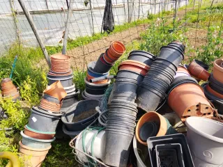 Macetas de plástico y cerámica de todos tamaños