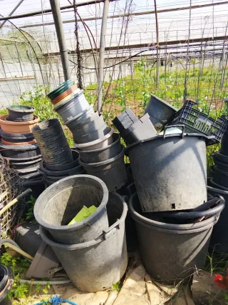 Macetas de plástico y cerámica de todos tamaños