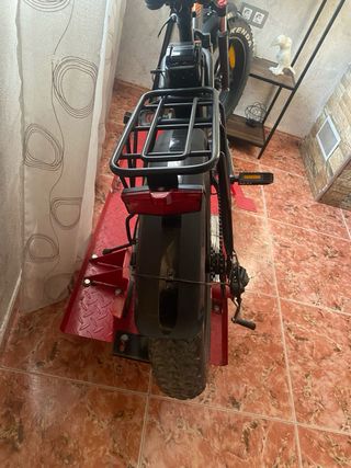 Bicicleta Eléctrica Fat Bike 250W