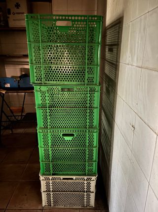 4 Cajas de plástico verdes y blancas