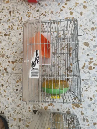 Jaula para hamster