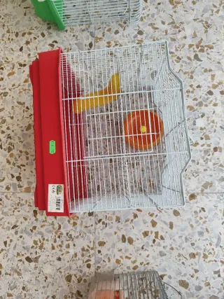 Jaula para hamster