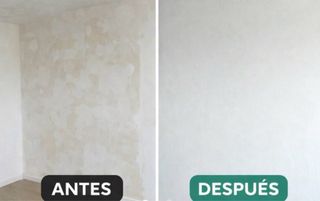 Pintor económico pisos, paredes y techos