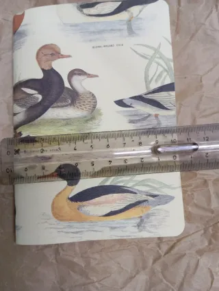 Quaderno vintage illustrazioni Tassotti