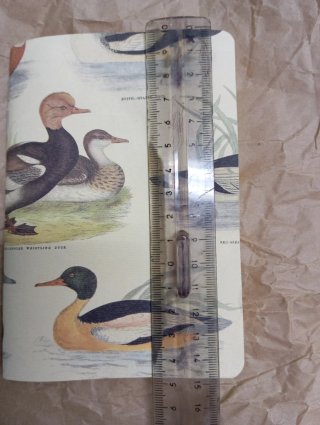 Quaderno vintage illustrazioni Tassotti