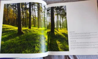 Gran Guerra (I GM).  Fotos y comentarios