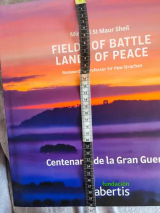 Gran Guerra (I GM).  Fotos y comentarios