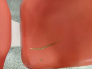 Sillón dental anthos a6