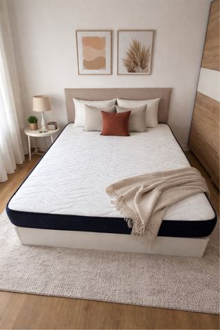 Canapé 150 + Colchón (-1 año uso)