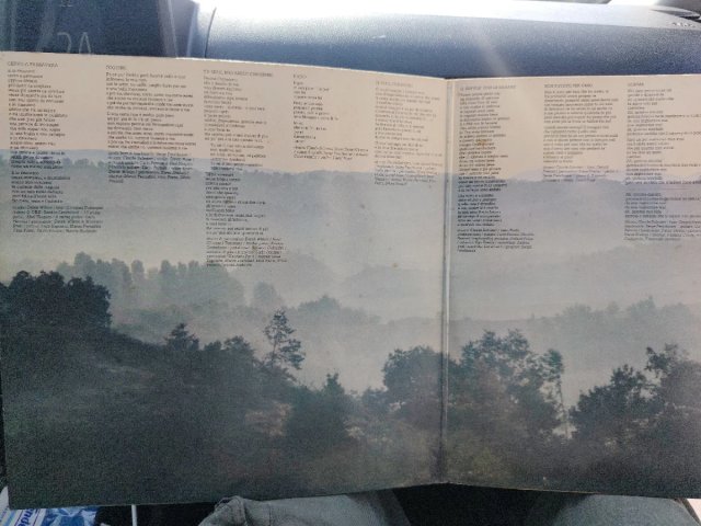 Riccardo Cocciante Cervo a primavera