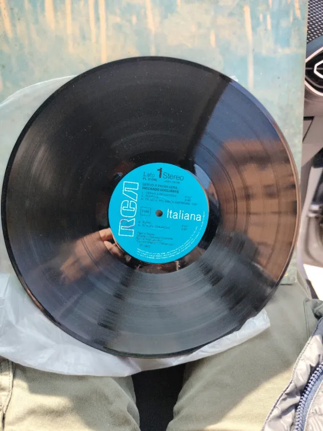 Riccardo Cocciante Cervo a primavera