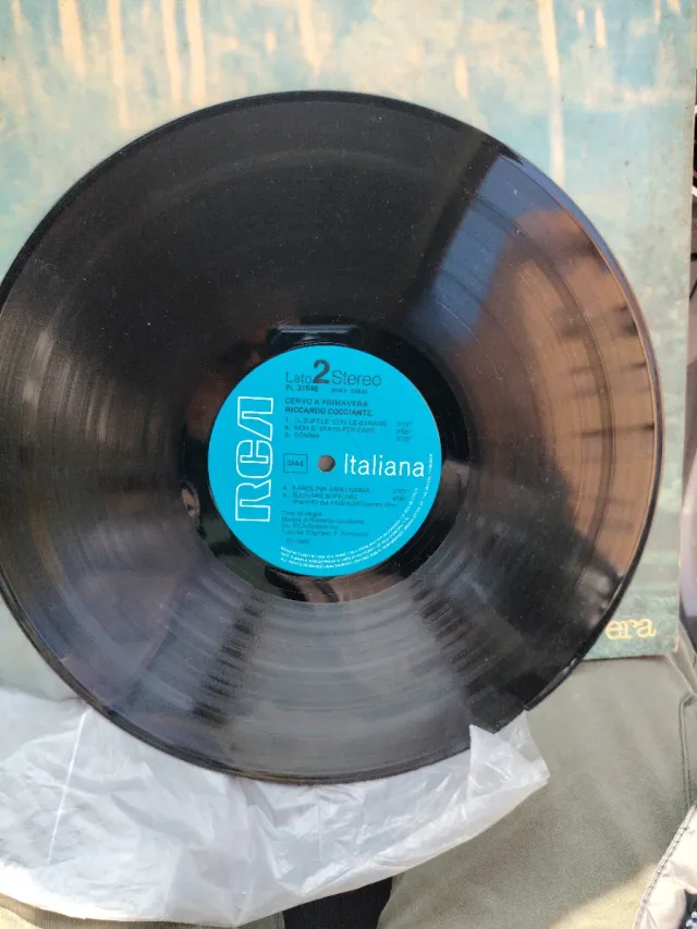 Riccardo Cocciante Cervo a primavera