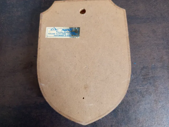 Metopa o Placa Conmemorativa "Misión Danubio"