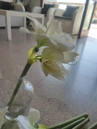 Ramo 6 varas amarilis blanco