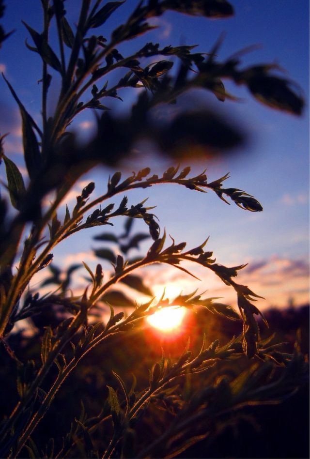 Canon Powershot A3200 IS Funzionante