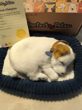 Perrito Perfect Petzzz casi nuevo