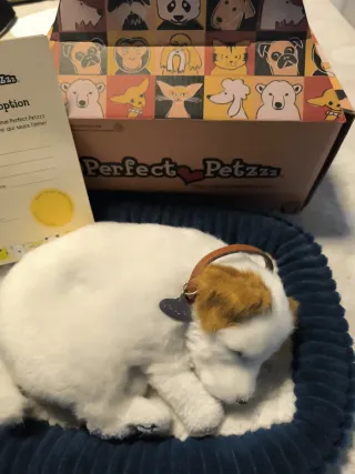 Perrito Perfect Petzzz casi nuevo