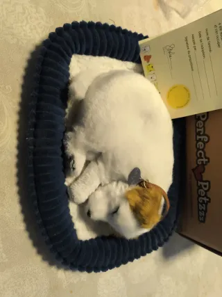 Perrito Perfect Petzzz casi nuevo