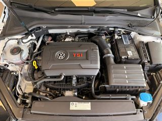 Volkswagen Golf GTI Perf. Honey