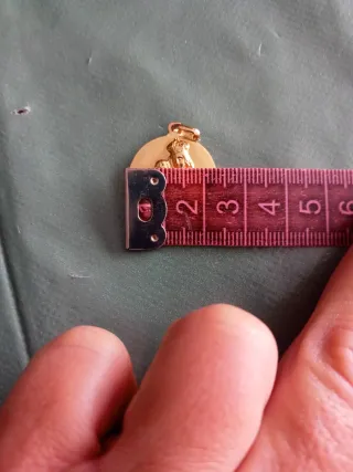 Medalla virgen y sagrado corazón de Jesús