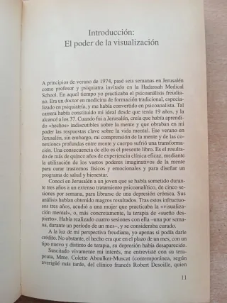 Visualización curativa. Gerald Epstein.
