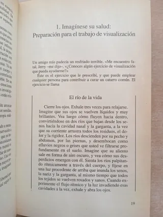 Visualización curativa. Gerald Epstein.