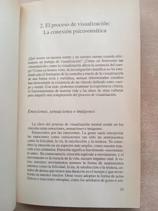 Visualización curativa. Gerald Epstein.