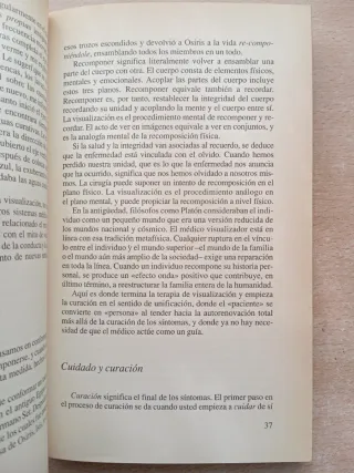 Visualización curativa. Gerald Epstein.