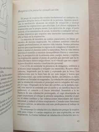 Visualización curativa. Gerald Epstein.