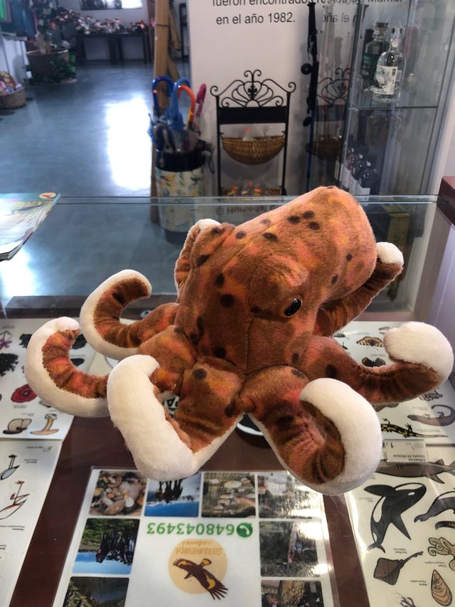 Peluche Pulpo Wild Republic