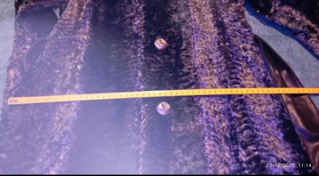 Abrigo negro elegante