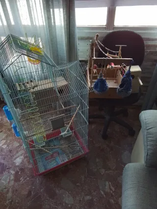 Jaula, nidos y parque para agapornis