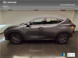 Lexus NX450+ PREMIUM+ 2025 REF 7598