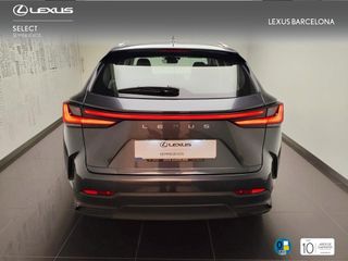 Lexus NX450+ PREMIUM+ 2025 REF 7598