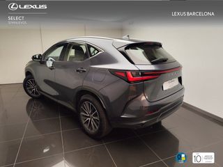 Lexus NX450+ PREMIUM+ 2025 REF 7598