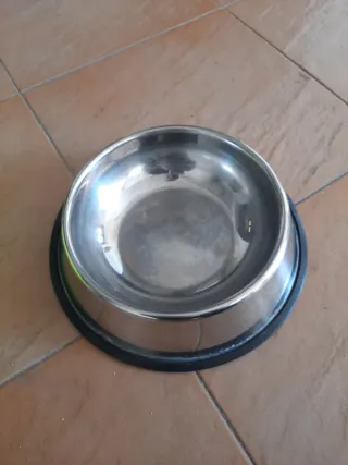 bebederos para mascotas