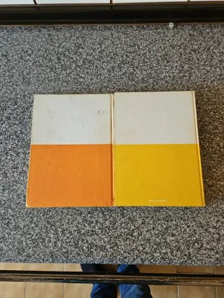 Pack dos enciclopedias Maravillo Mundo Walt Disney