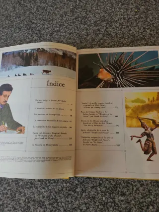 Pack dos enciclopedias Maravillo Mundo Walt Disney