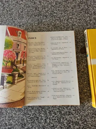 Pack dos enciclopedias Maravillo Mundo Walt Disney