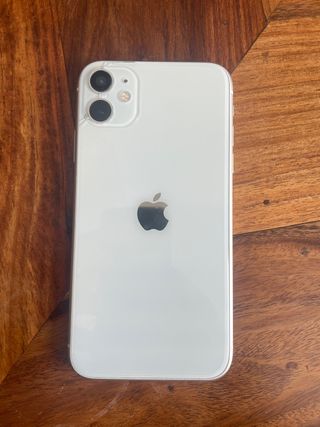 iPhone 11 Mojado