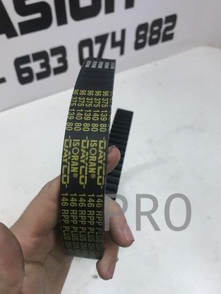 Correa distribucion fiat lanci