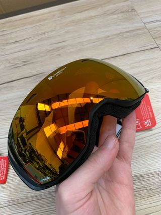 Gafas Nieve Ski Alpina Q-Lite Unisex