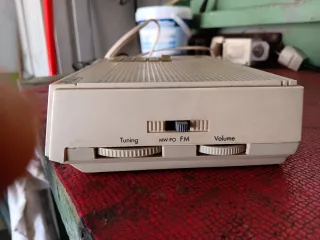 Radio Reloj Despertador Philips D 3340