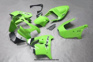 Carenado para KAWASAKI ZX9R 2002 - 2003