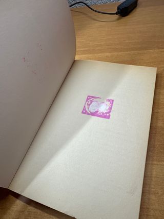 Libro Pesadillas El monstruo del sótano